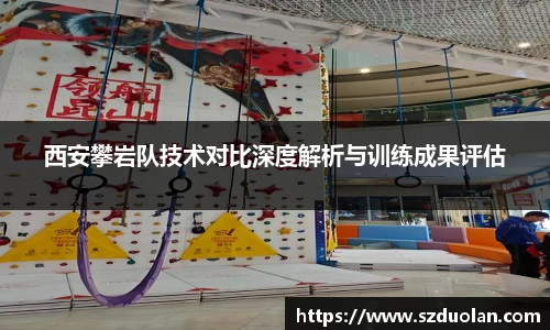 3377体育官网